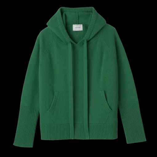 Pull à Capuche