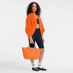 Sac à Main M Le Pliage Green