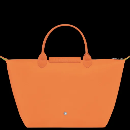 Sac à Main M Le Pliage Green