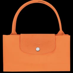 Sac à Main M Le Pliage Green