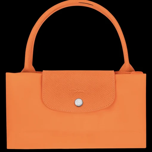 Sac à Main M Le Pliage Green